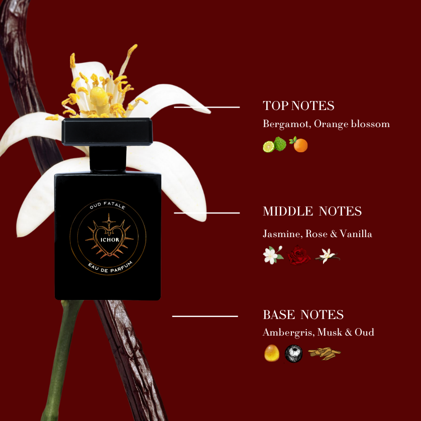 BOLD JASMINE OUD [50ml]
