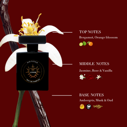 BOLD JASMINE OUD [50ml]